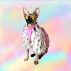 Groovy Ooze Glamourpuss Yeti Collection Pet Shirt