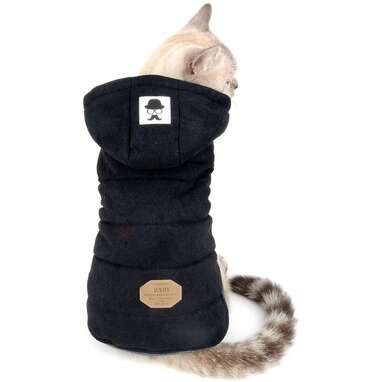 Cat Jacket: 7 Of The Best Coats You Can Buy For Your Cat - DodoWell - The  Dodo