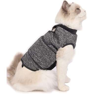 8 Of The Best Cat Jackets - DodoWell - The Dodo