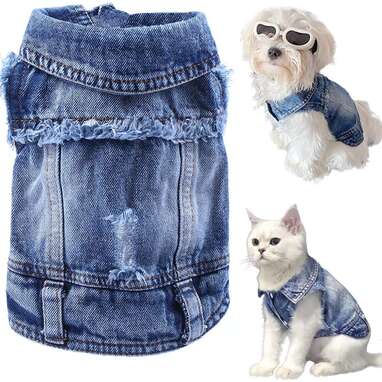 Cat jackets for cats sale