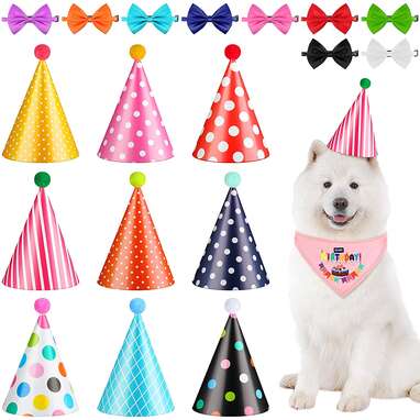 19 Pieces Dog Party Hats and Bow Ties Set