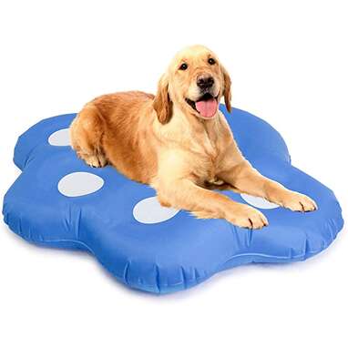 Milliard Dog Float for Pool, Inflatable Stay Dry Float for Dogs