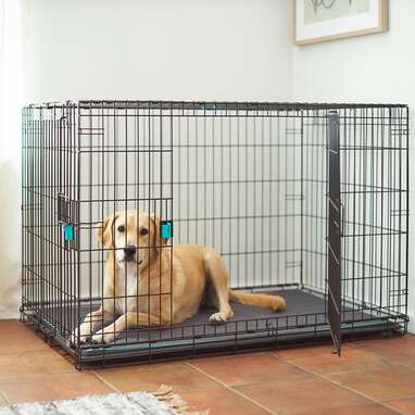 Safe dog clearance crate for anxiety