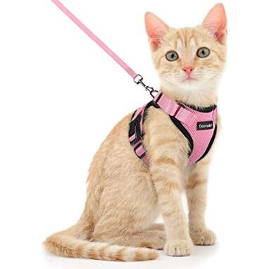 Dooradar Cat Leash and Harness Set