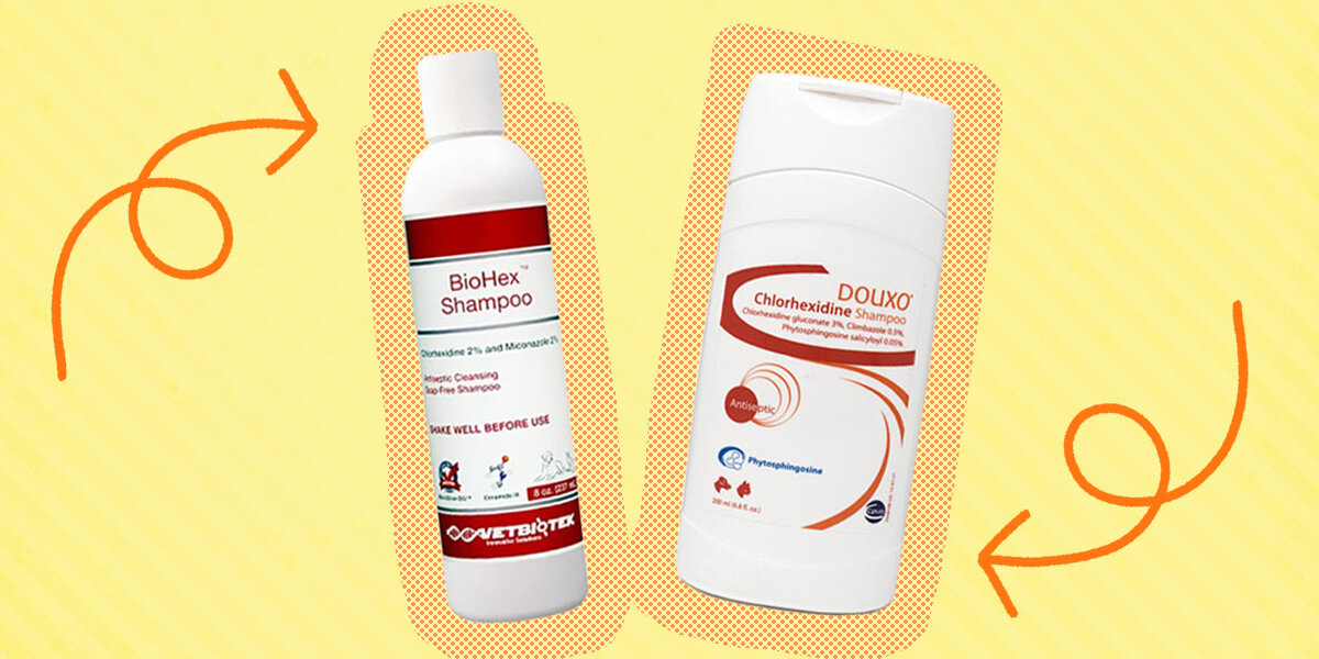 Chlorhexidine store ps shampoo