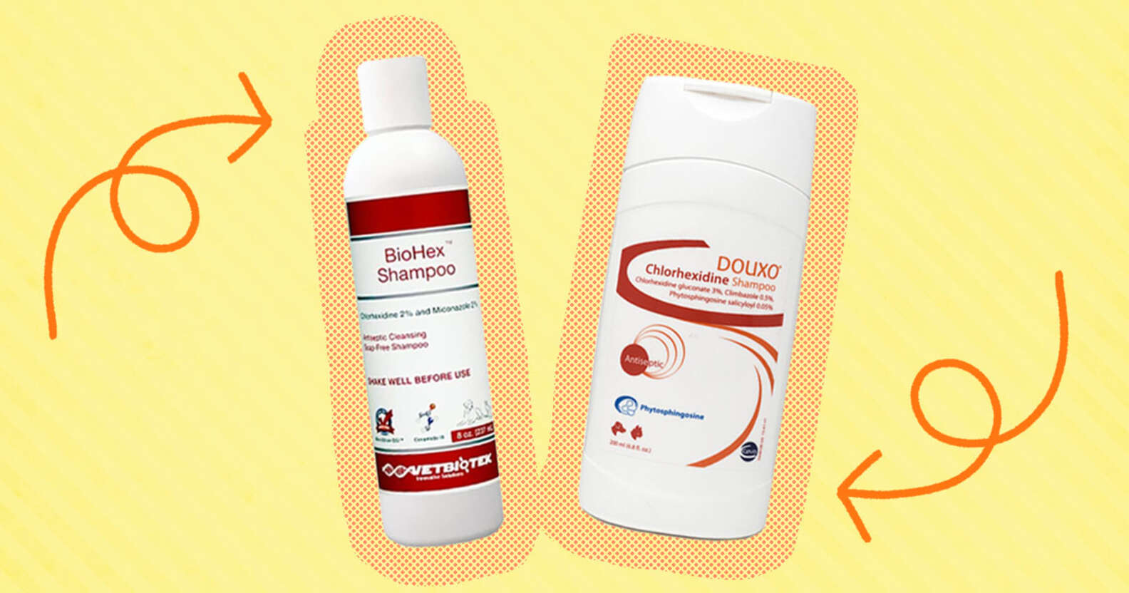 4 Best Dog Shampoos For Allergies To Help Your Itchy Dog - DodoWell