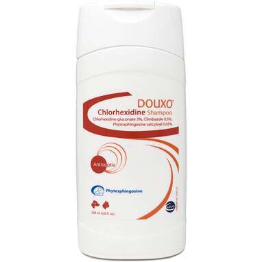 Best shampoo for skin clearance allergies