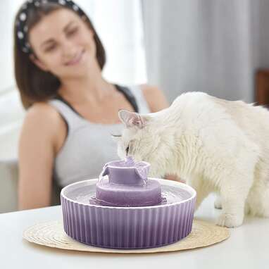 The Best Cat Water Fountains, According To A Veterinarian - DodoWell ...