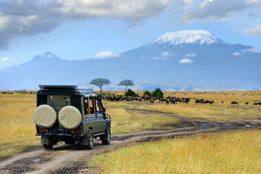 Safari game drive with the wildebeest in Kenya's Maasai Mara Reserve