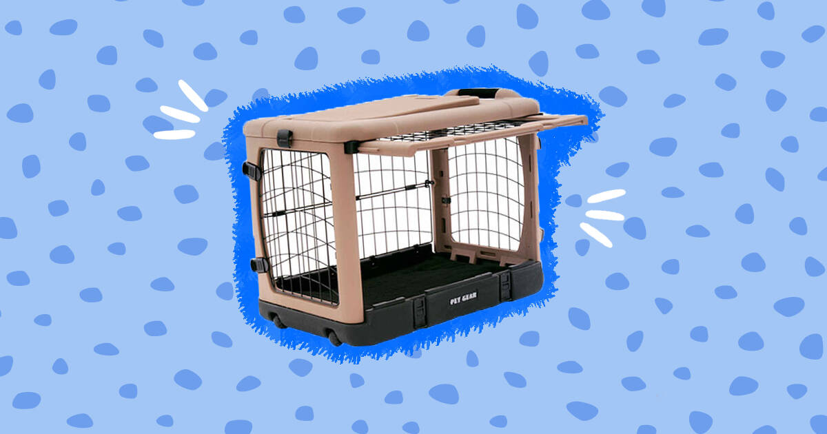 is it ok to crate a dog with separation anxiety