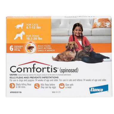 cat flea treatment