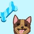 What Kind Of Treat Is Right For Your Dog?