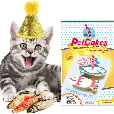 PetCakes Cat Organic Birthday Cake Kit
