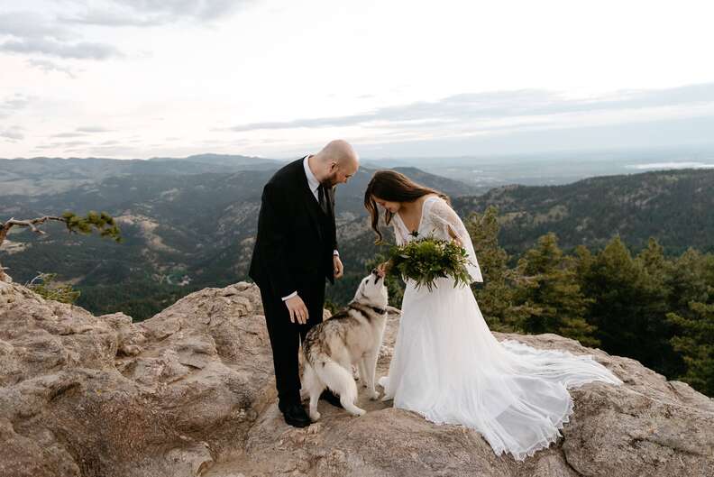 Dogs interrupt couple's wedding ceremony