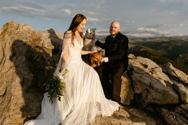 Dogs join in wedding photos