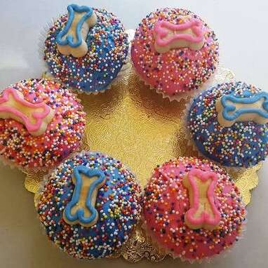 Dog Cupcakes Mini-Size
