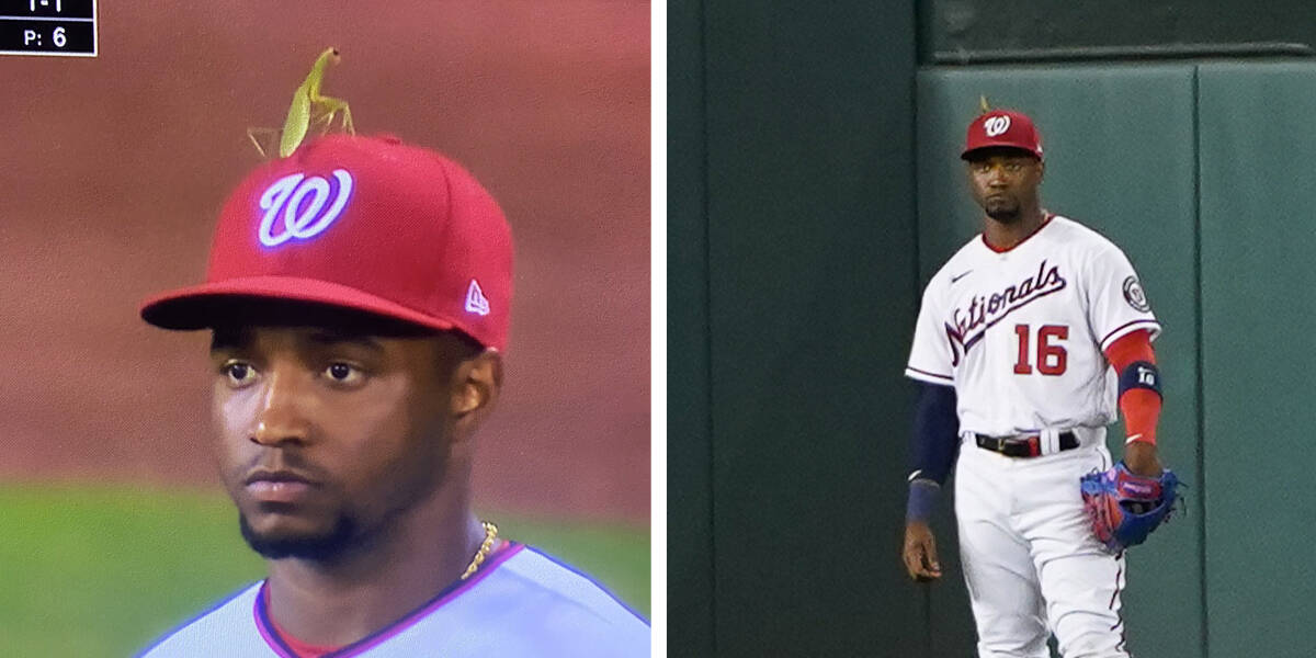 Victor Robles played with a praying mantis on his hat for full