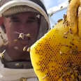 Guy Leaves His Comedy Career To Rescue Millions Of Bees