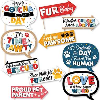 Big Dot of Happiness Funny Happy Gotcha Day - Dog and Cat Pet Adoption Party Photo Booth Props Kit - 10 Piece