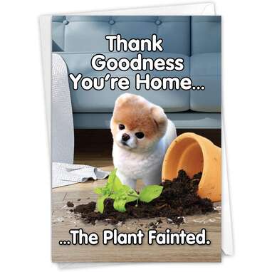 Boo's Plant Fainted - Funny Dog Birthday Greeting Card