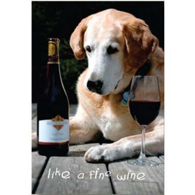 Dog Speak - Like a Fine Wine