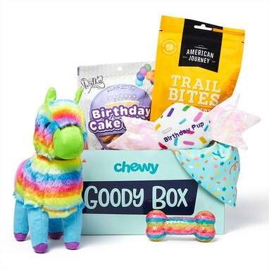 GOODY BOX Birthday Toys, Treats & Bandana