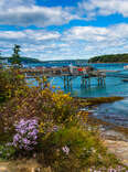 8 Reasons to Drive to Bar Harbor, Maine