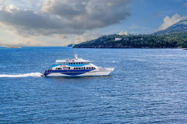 Bar Harbor whale watching