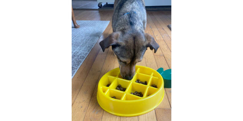 HIGH QUALITY FUN SPACE SLOW FEEDER MENTAL STIMULATION DOG BOWL