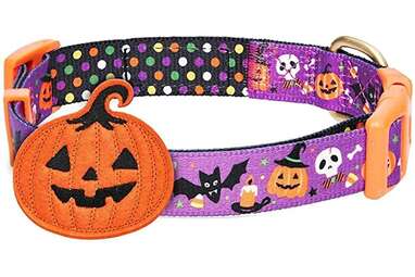 ARING PET Halloween Dog Collar Cute Pumpkin Dog Collar with Flower, Cotton  Purple Skull Bat Dog Collars Girl Daisy Puppy Collar with Metal Buckle -  Yahoo Shopping