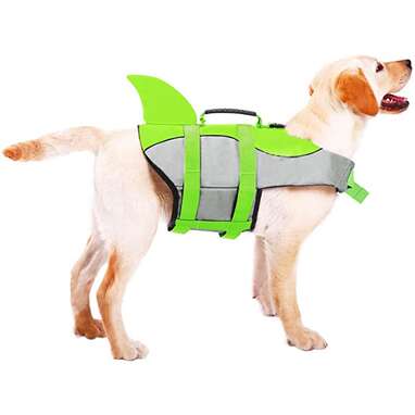 Blue Shark, S Adjustable Dog Floatation Life Saver with Strong Rescue Handle for Small KOESON Dog Life Jacket Medium and Large Dogs Ripstop Pet Life Vest Swimming Preserver 