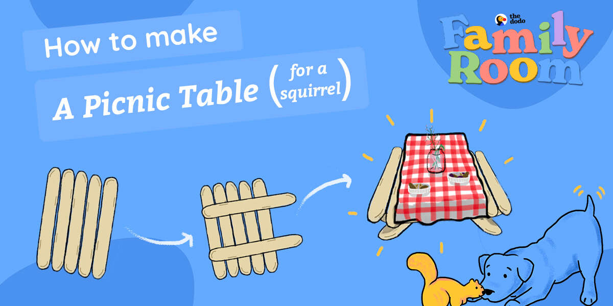 How To Make A Picnic Table For A Squirrel The Dodo