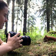 Girl Raises Four Orphaned Baby Red Squirrels In The Middle Of The Forest