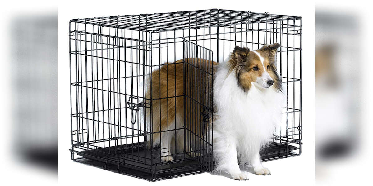 6 HighestRated Amazon Dog Crates DodoWell The Dodo