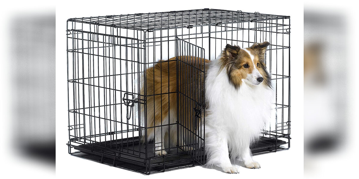 Basics Folding Portable Soft Pet Crate Reviews: Does It Work? - Paw  of Approval - The Dodo