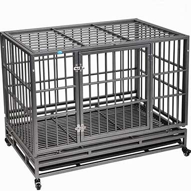 Basics Folding Portable Soft Pet Crate Reviews: Does It Work? - Paw  of Approval - The Dodo