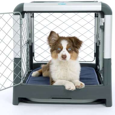 Diggs Revol Dog Crate