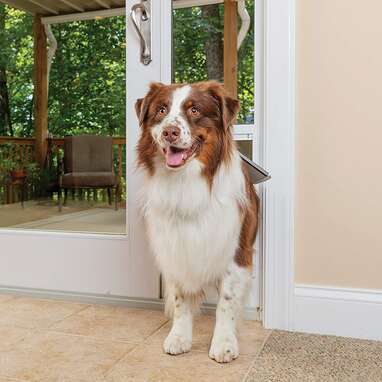 PetSafe Sliding Glass Door Pet Door
