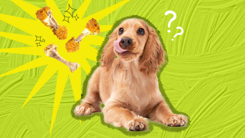 are cooked chicken wings bad for dogs