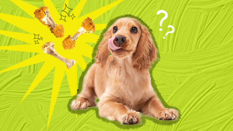 Can A Dog Die From Eating Chicken Bones