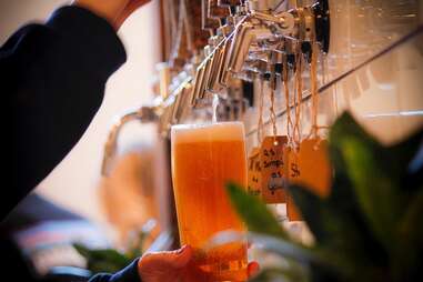 The Seed: A Living Beer Project