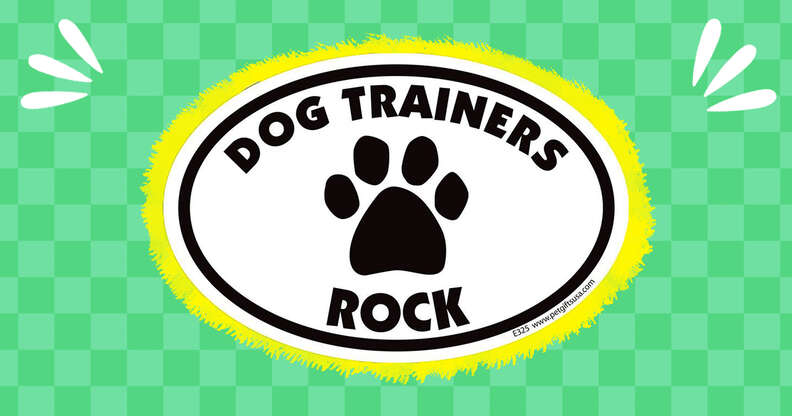 12-dog-trainer-gifts-to-say-thank-you-dodowell-the-dodo