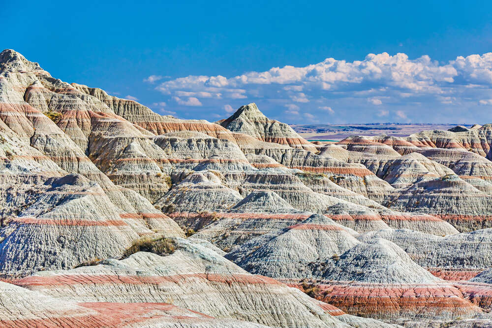 are dogs allowed badlands national park