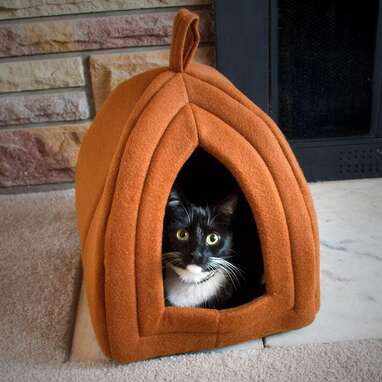 PETMAKER Pumpkin Igloo