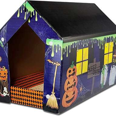 Cardboard cat outlet house halloween