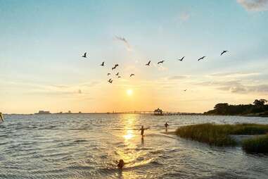 people playing in the Gulf with seagulls flying above