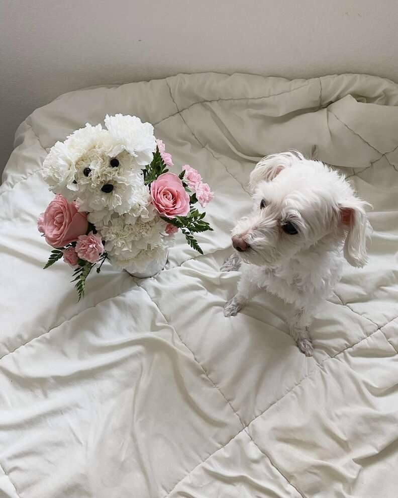 dog flowers