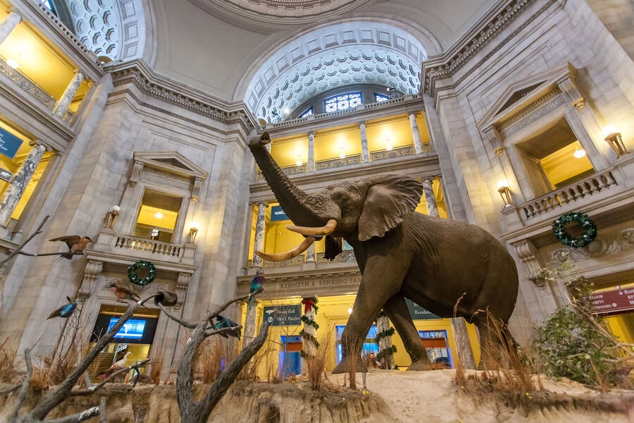 Free Museum Day 2021 Which Museums Have Free Admission This Weekend