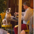 Diner Spots A Guy Out On The Sweetest Date With His Dog