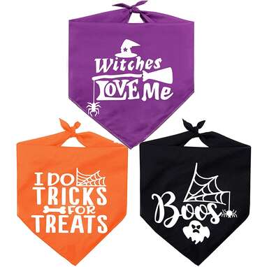  Halloween Hocus Pocus Dog Bandanas - I Smell Children Witch Dog  Scarf - 2 Pcs Adjustable Sanderson Sisters Holiday Party Triangle  Reversible Pet Bandanas for Small Medium Large Dogs : Pet Supplies